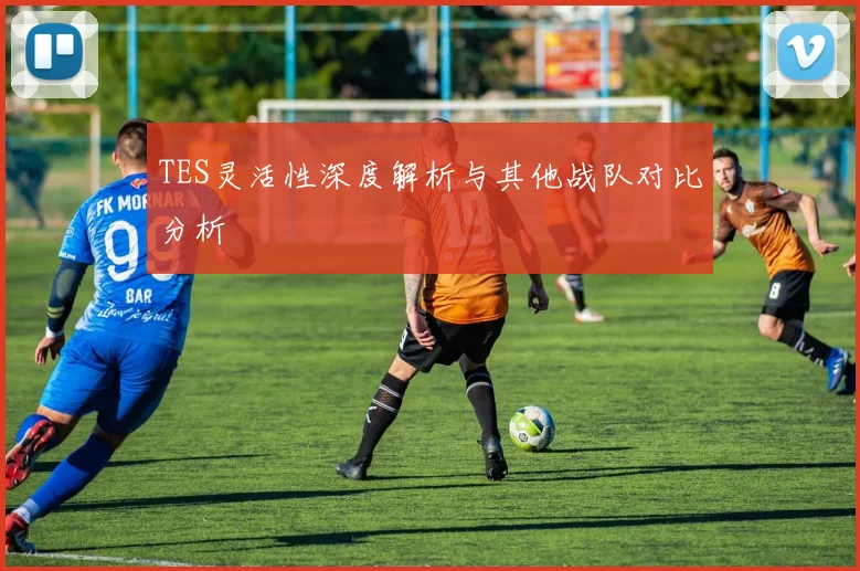 TES灵活性深度解析与其他战队对比分析