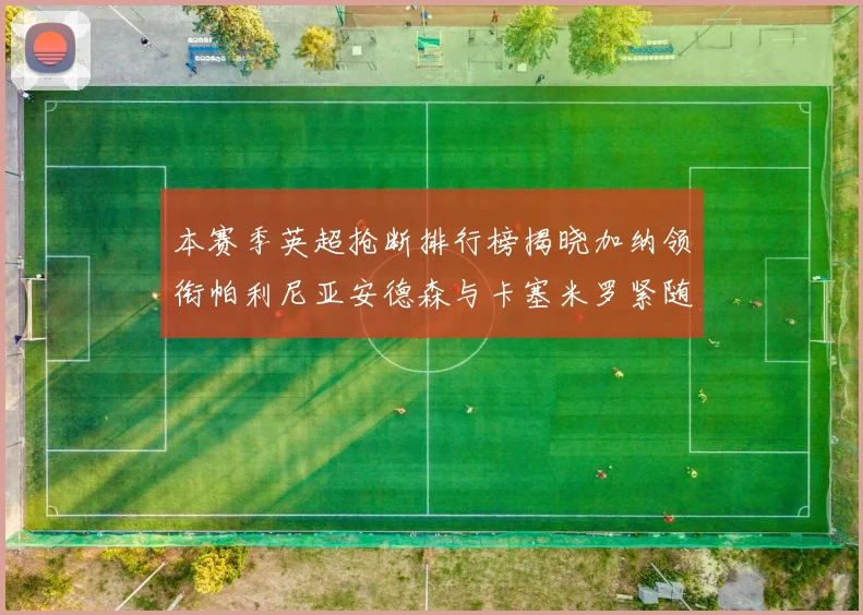 本赛季英超抢断排行榜揭晓加纳领衔帕利尼亚安德森与卡塞米罗紧随其后