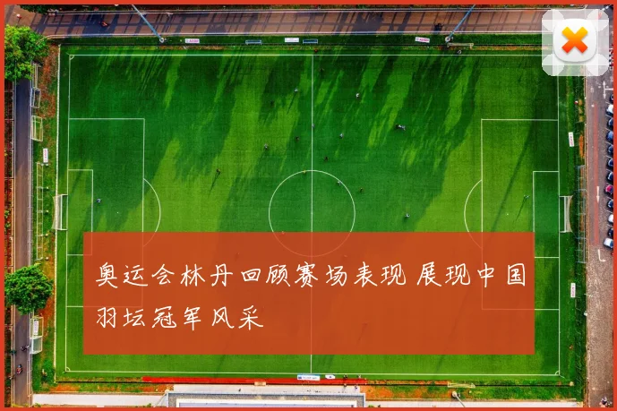 奥运会林丹回顾赛场表现 展现中国羽坛冠军风采