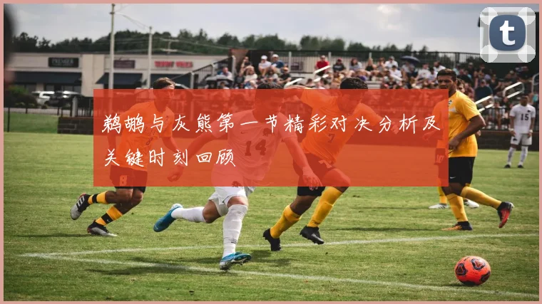 鹈鹕与灰熊第一节精彩对决分析及关键时刻回顾